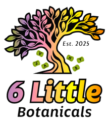 6 Little Botanicals